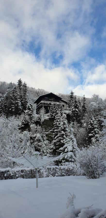 Villa Taube Bad Gastein Extérieur photo